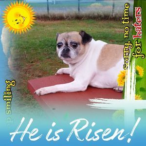 Meet your Posher, Lynn